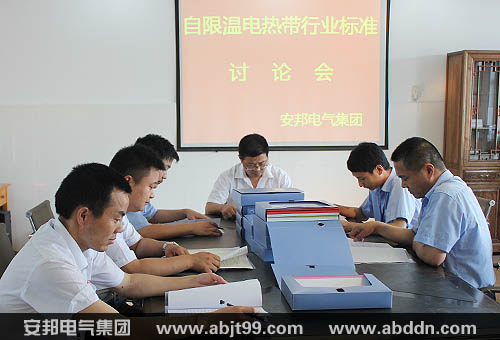 安邦集團(tuán)召開自限溫電伴熱帶國家標(biāo)準(zhǔn)研討會(圖1)