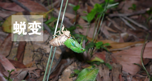 用心感受世界，因活著而幸福(圖4)