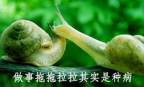 拒絕拖延從今天開始，明天會更好(圖4)