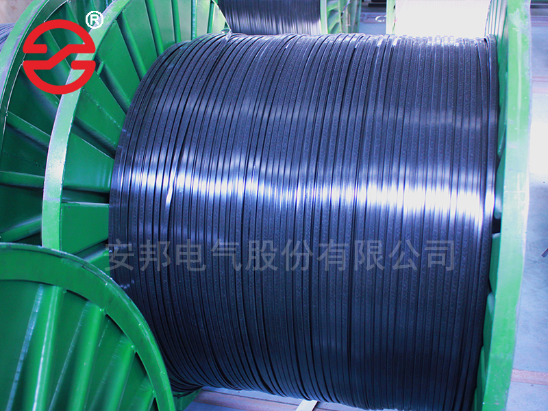 太陽(yáng)能電伴熱帶生產(chǎn)廠(chǎng)家