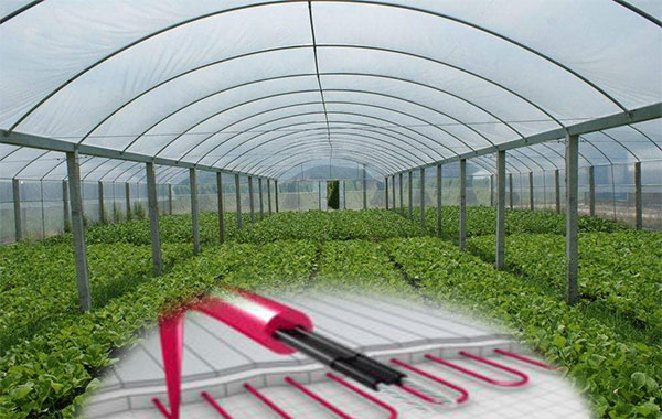 植物栽培電伴熱帶保溫促生長(zhǎng)