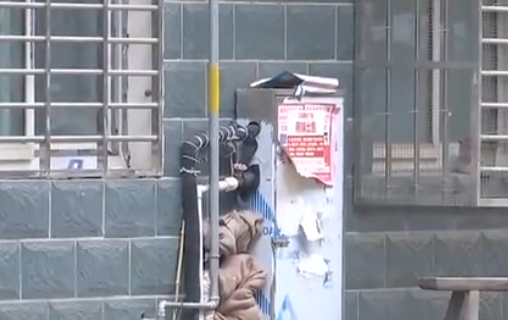 自來(lái)水管道保溫電伴熱帶，冬季管道防凍新寵(圖2)